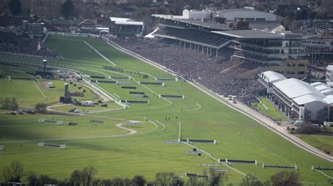 cheltenham trends 2024|The 2024 Cheltenham Festival: stats and trends for all 28 races.